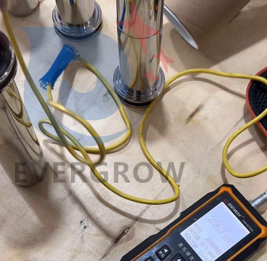 30173958 Teste de pino de tiro 29.7_evergrow