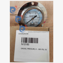 Pressão do medidor N10185