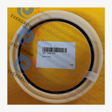 S05-1000-030 Pistão selo 