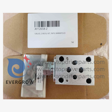 Ay12658-2 Kit de verificação de válvula INTG INTG